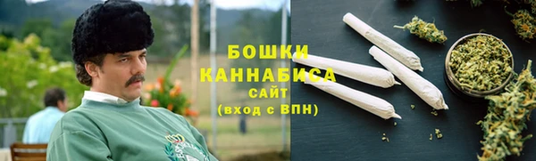 шишки Заволжск