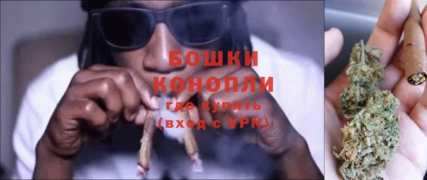 шишки Заволжск