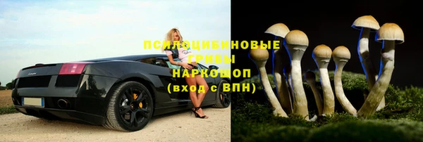 марки lsd Заводоуковск