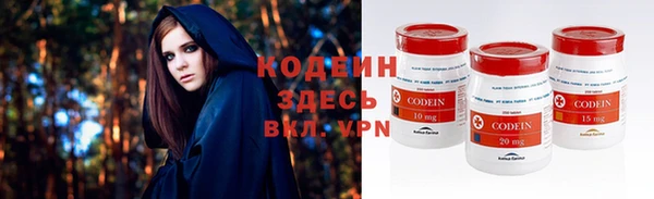 шишки Заволжск