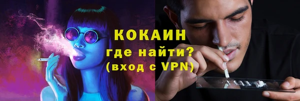 шишки Заволжск