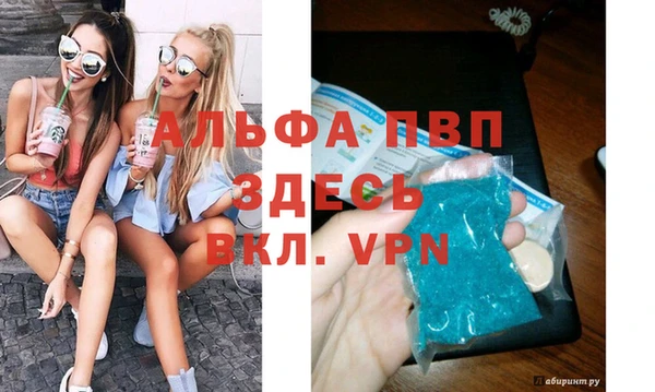 шишки Заволжск