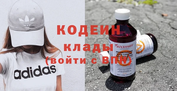 амф Елизово