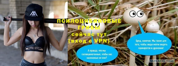 альфа пвп Заволжье