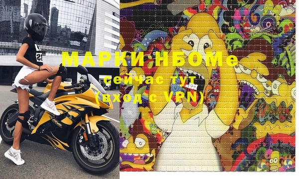 шишки Заволжск