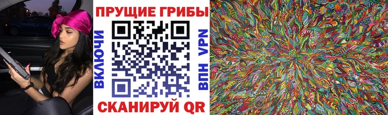 Псилоцибиновые грибы Psilocybe  Купить  Оханск 